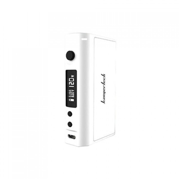 Kanger KBOX 120W TC Box Mod