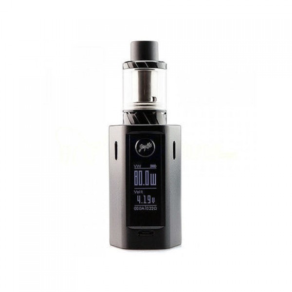 Wismec Reuleaux RX Mini 80W TC Kit by Jay Bo Designs